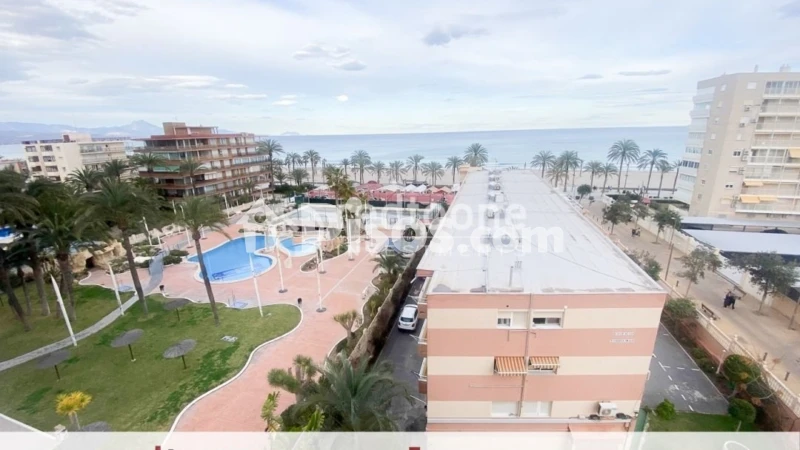 Pis – Alacant / Alicante, l'Alacantí