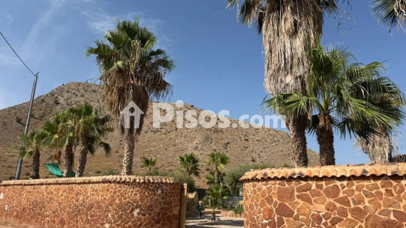 Casa – Elx / Elche, el Baix Vinalopó