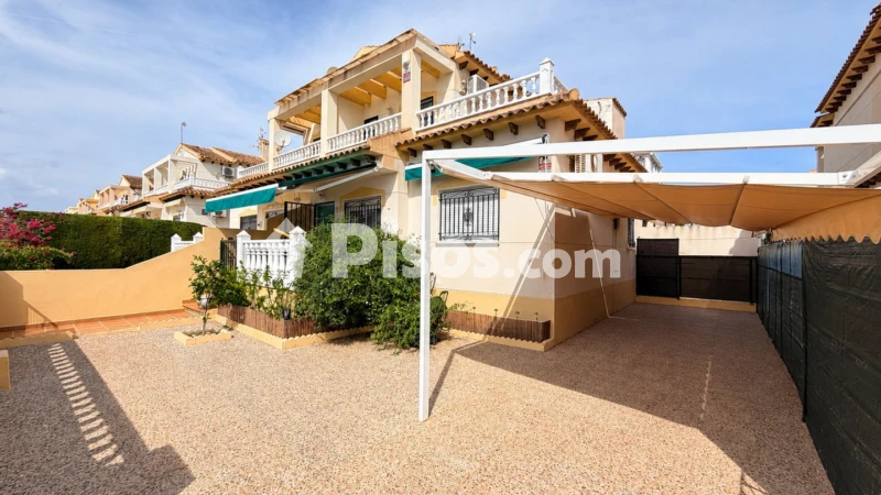 Pis – Orihuela