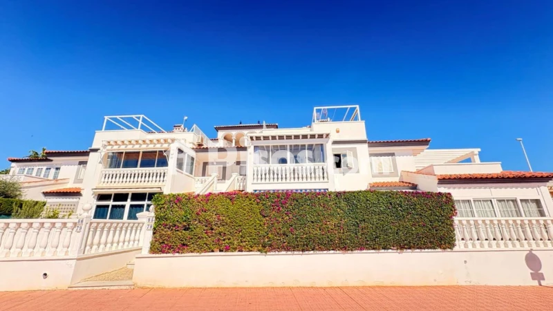 Pis – Orihuela