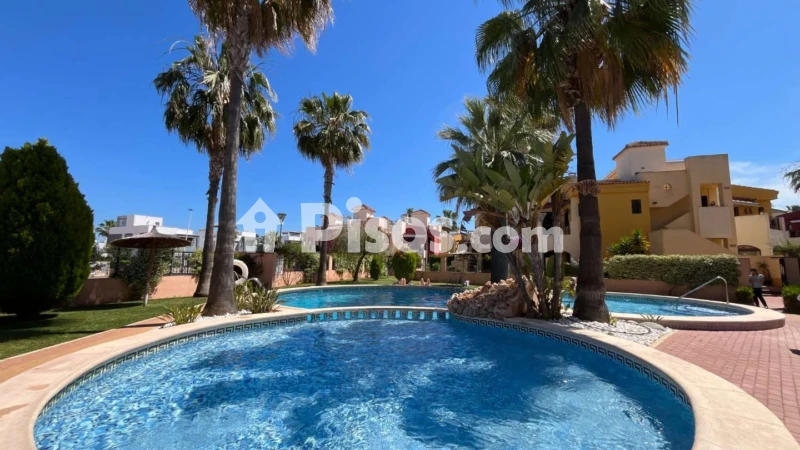 Pis – Torrevieja