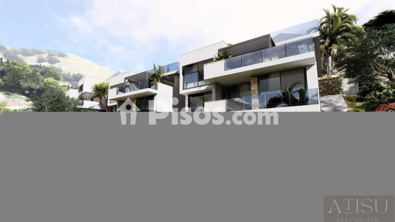 Pis – Altea