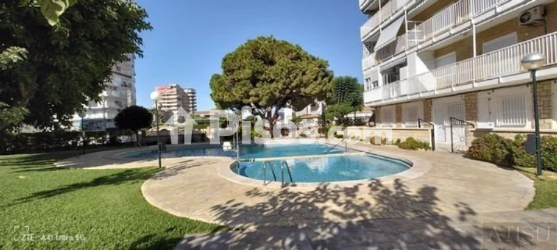 Pis – El Campello