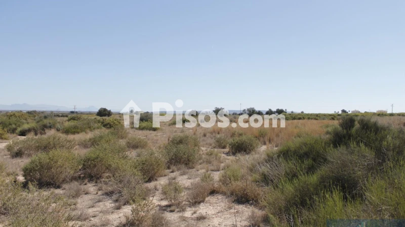 House in Elx - Elche