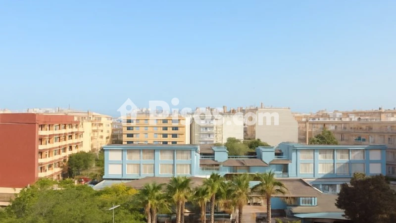 Pis – Torrevieja