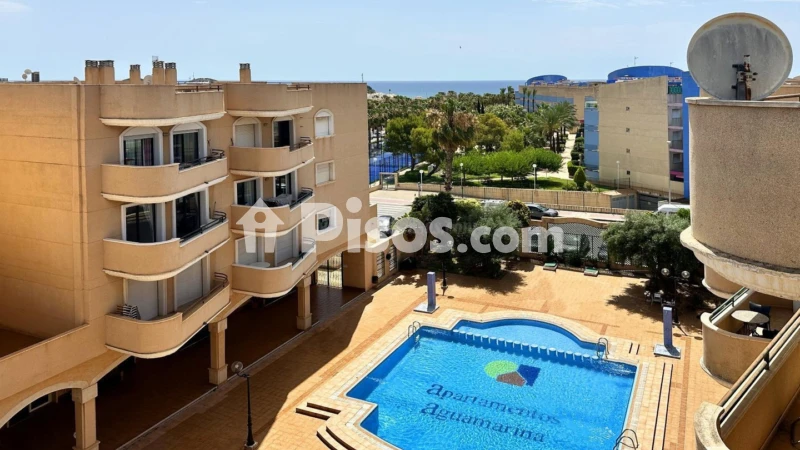 Pis – Orihuela