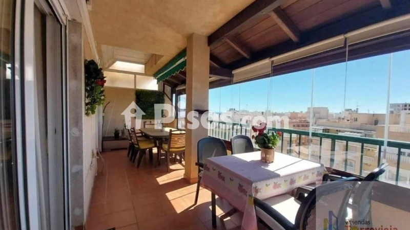 Pis – Torrevieja