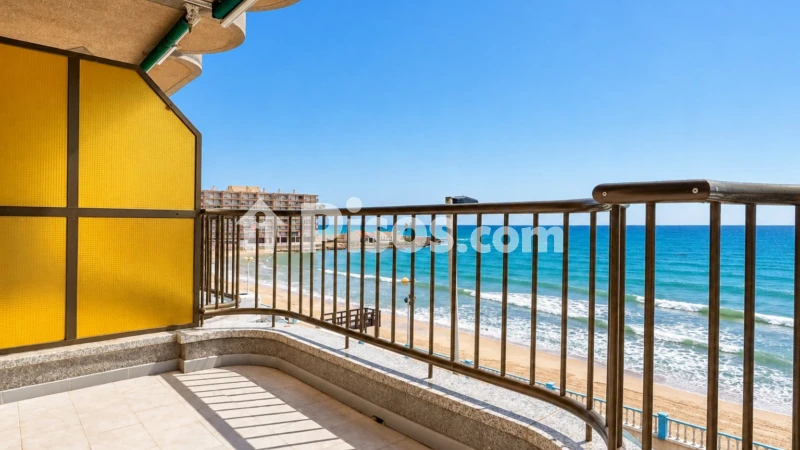 Pis – Torrevieja