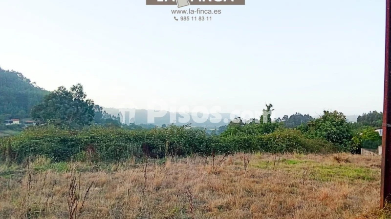 Casa – Pravia