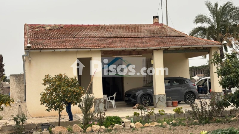 Casa – Elx - Elche