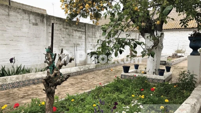 Casa - Vista 3