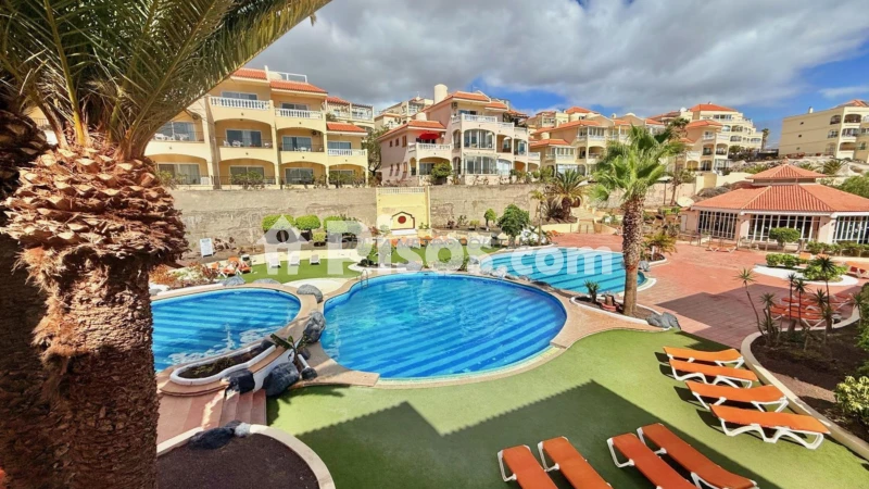 Fotografía del inmueble reportado: 1.200 €/mes — Tenerife, Tenerife