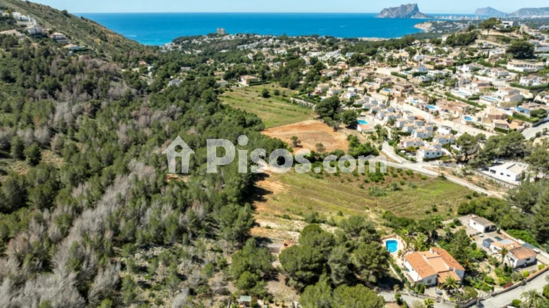 Pis – Moraira