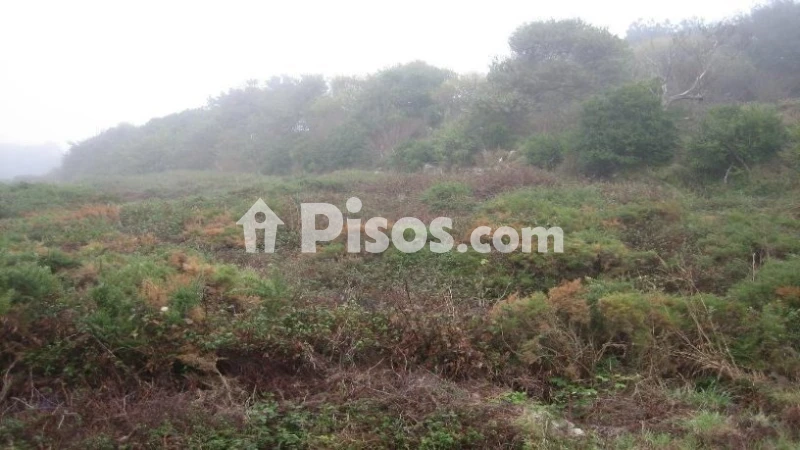 Terreno en venta en Calle Ciudad Escolar - los Rosales, Número 0