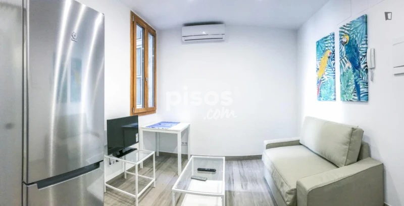 Piso en alquiler en Universidad-Malasaña