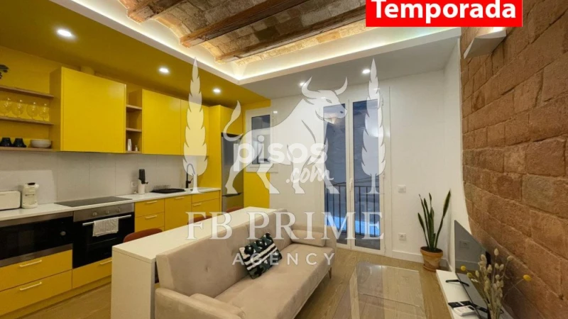 Piso en alquiler en Sant Pere-Santa Caterina-La Ribera