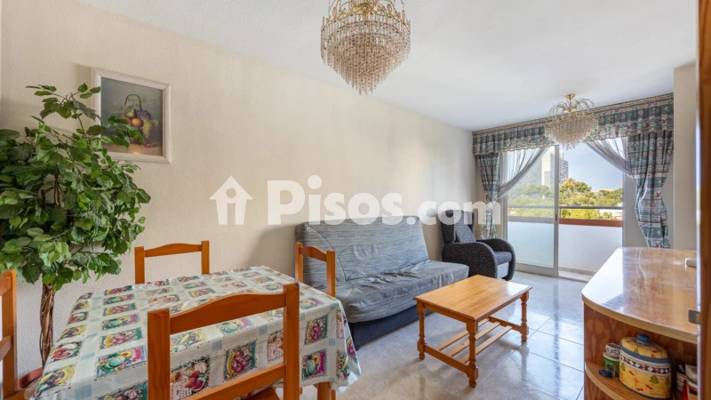 Pis – Orpesa / Oropesa del Mar, la Platja d'Orpesa