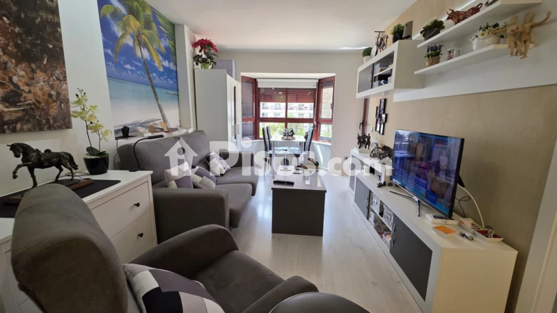 Pis – Benidorm
