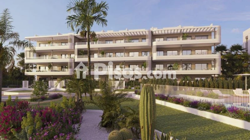 Pis – Torrevieja