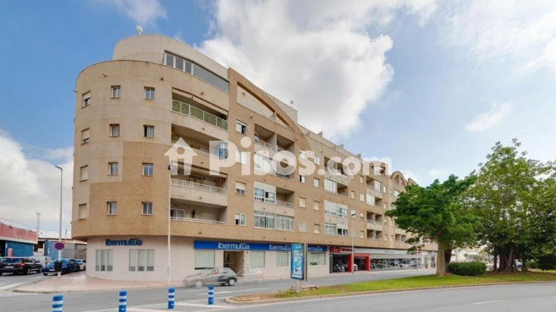 Pis – Torrevieja
