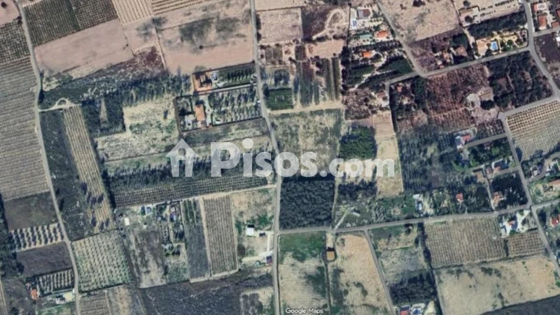Pis – Elx - Elche