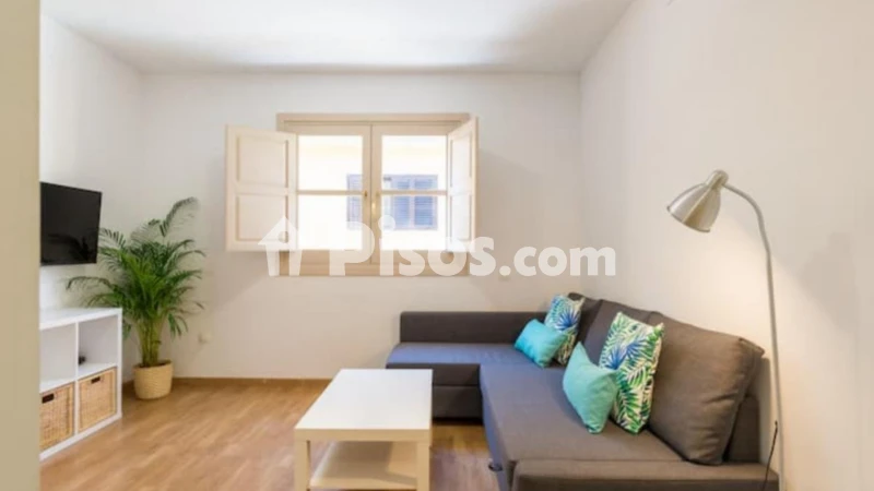 Fotografía del inmueble reportado: 2.600 €/mes — Málaga, Málaga