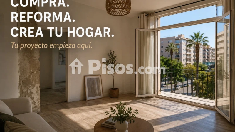 Pis – Elx - Elche