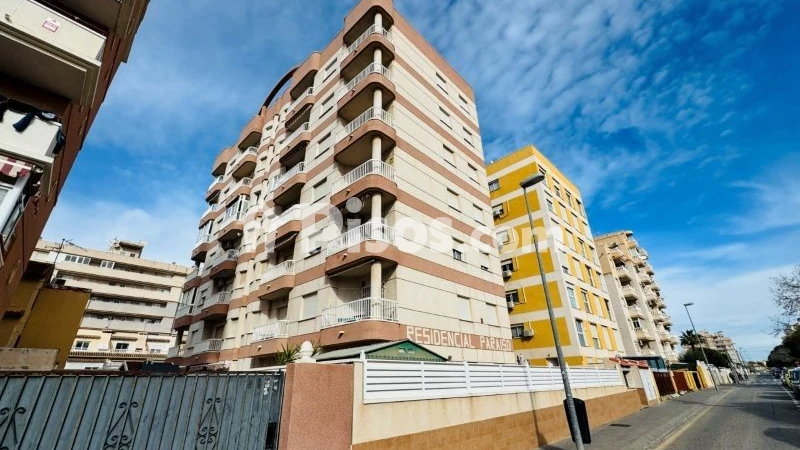 Pis – Torrevieja, Baleares