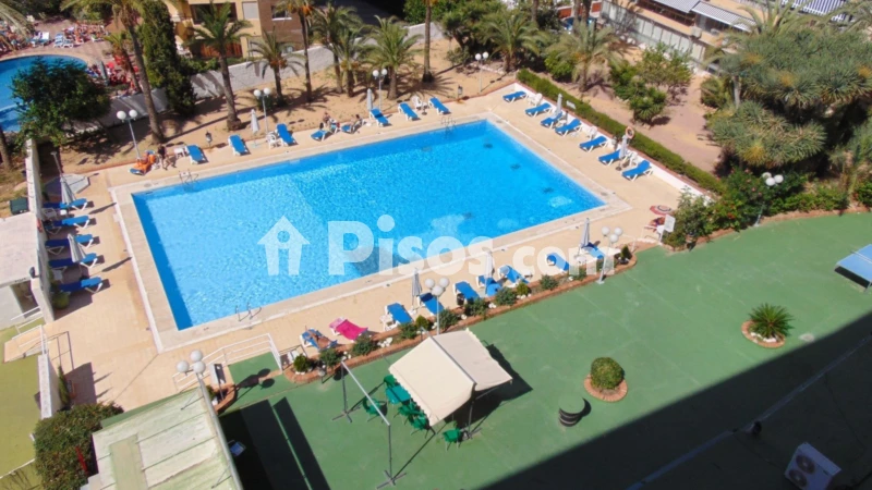 Pis – Benidorm