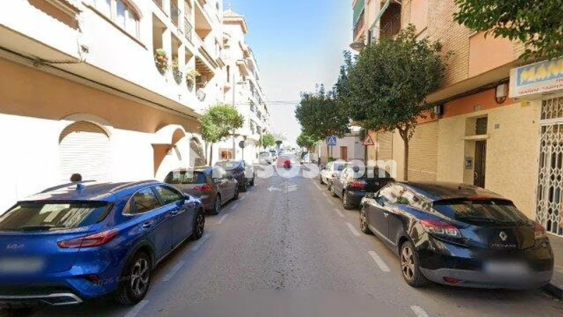 Pis – Sant Vicent del Raspeig - San Vicente del Raspeig