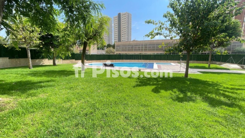 Pis – Benidorm