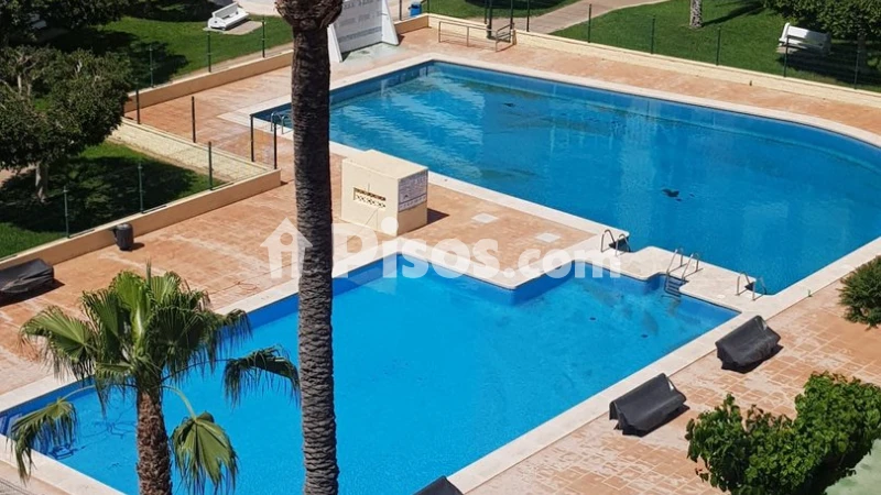 Pis – Benidorm