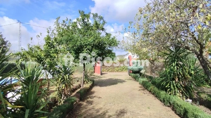Casa en venta en Valverde de Mérida - Vista 3