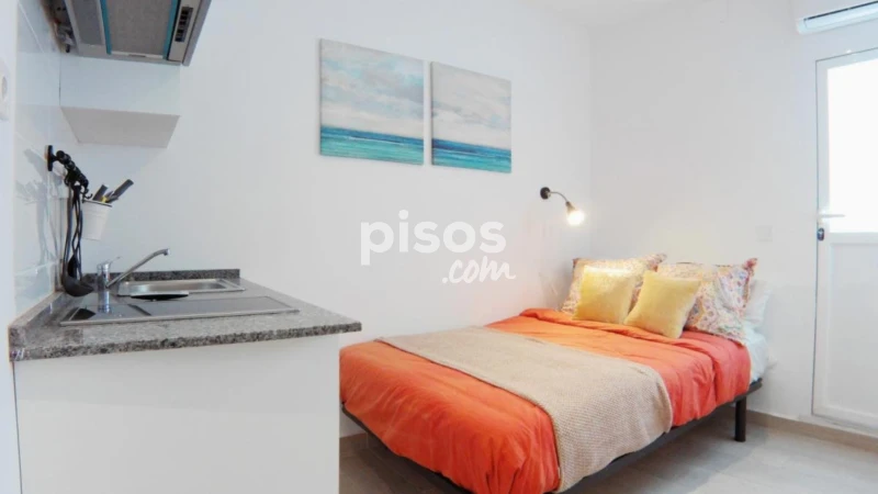 Estudio en alquiler en Pradolongo