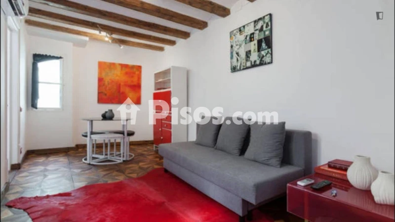 Piso en alquiler en El Barri Gòtic