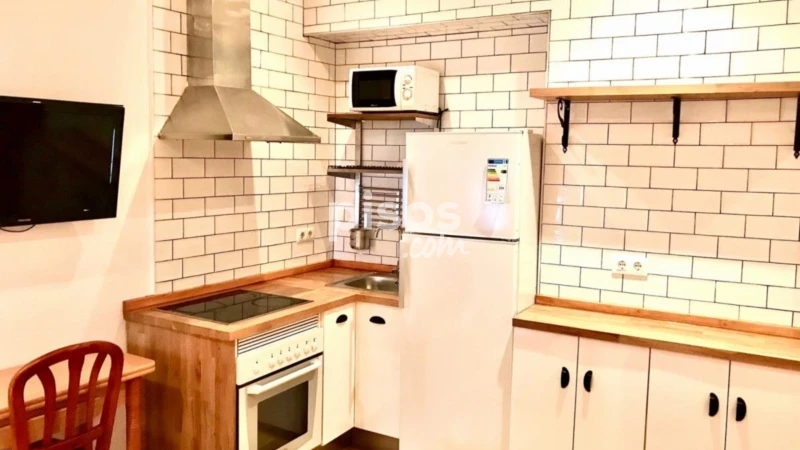 Piso en alquiler en Embajadores-Lavapiés