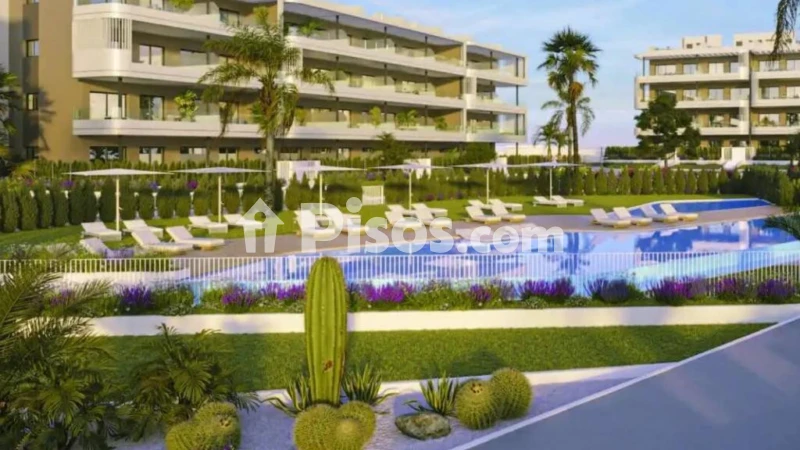 Pis – Torrevieja