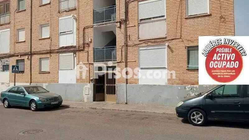 Pis