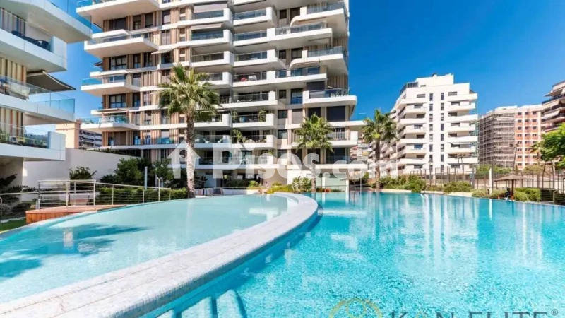 Pis – Alicante - Alacant