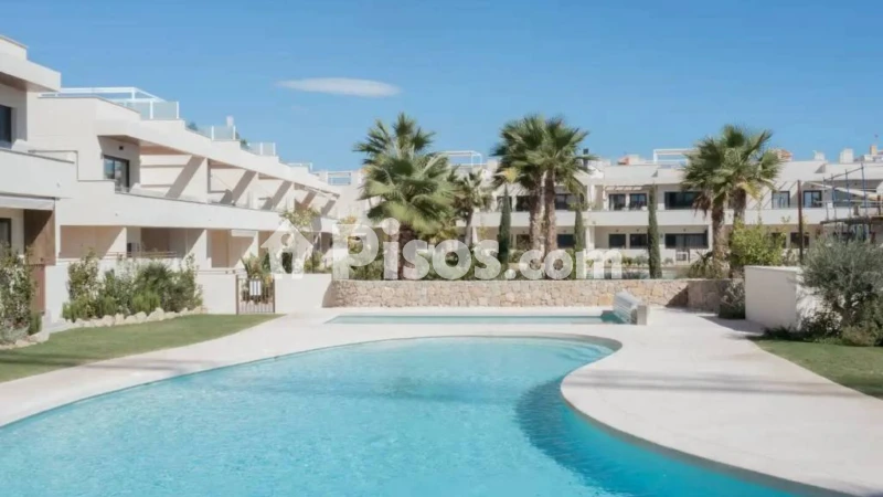 Pis – Torrevieja