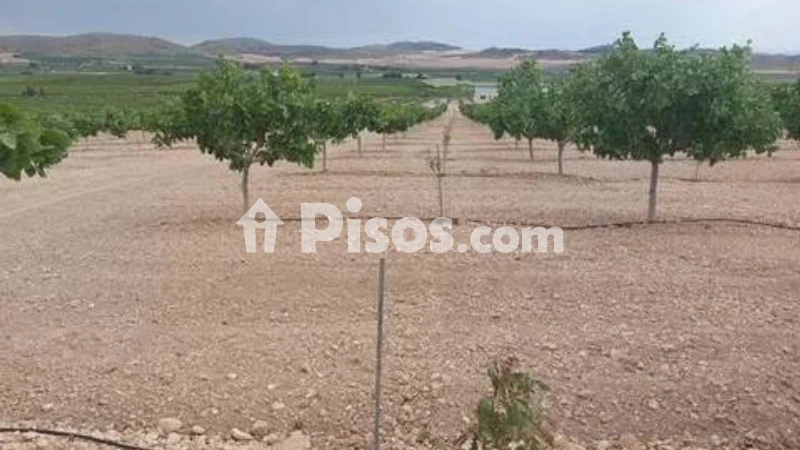 Terreno en venta en Tobarra