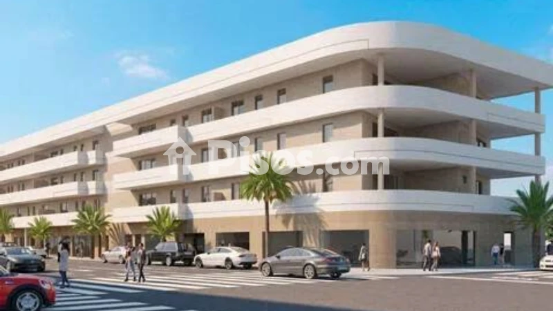 Pis – Elx - Elche