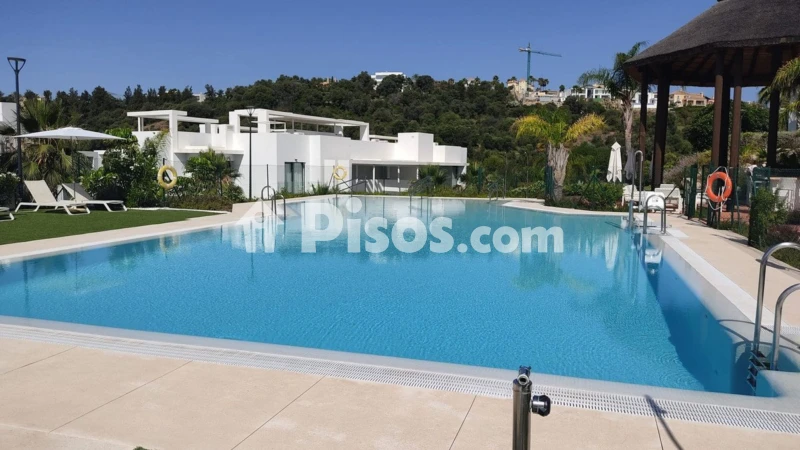 Fotografía del inmueble reportado: 3.500 €/mes — Málaga, Málaga