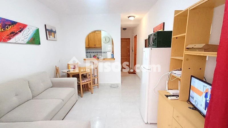 Pis – Torrevieja, San Roque