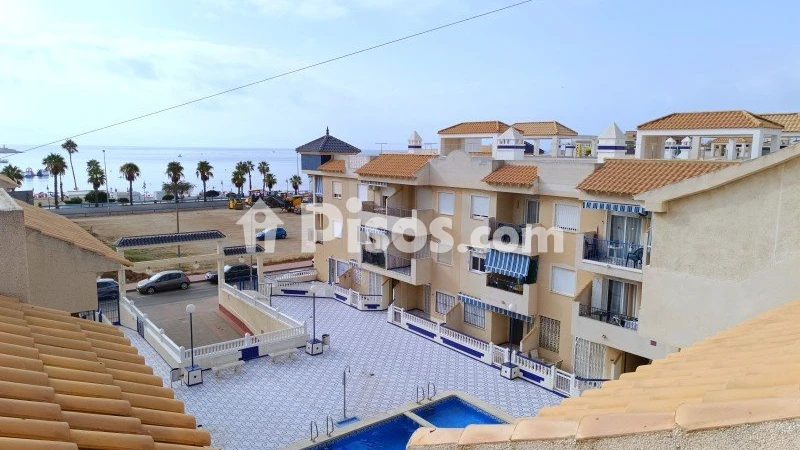 Pis – Torrevieja, San Roque