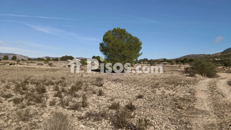 Terreno en venta en Salinas