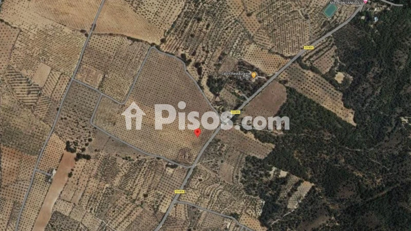 Terreno en venta en Biar