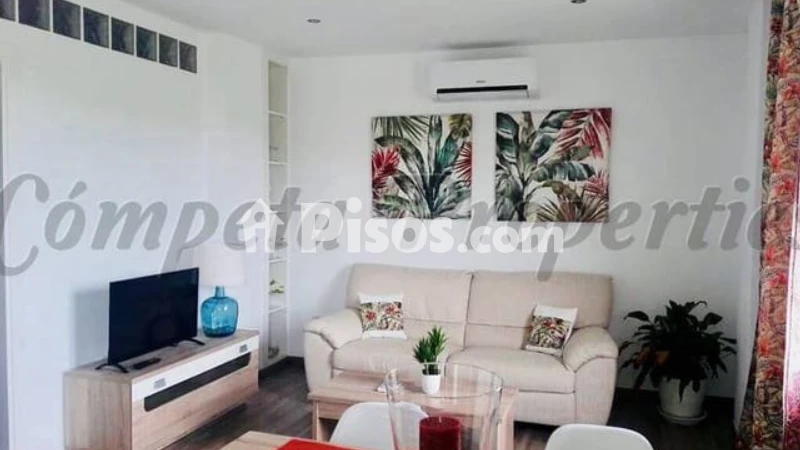 Fotografía del inmueble reportado: 600 €/mes — Málaga, Málaga