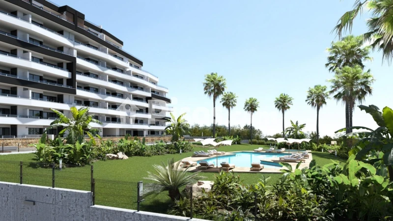 Pis – San Miguel de Salinas, Balcón de la Costa Blanca