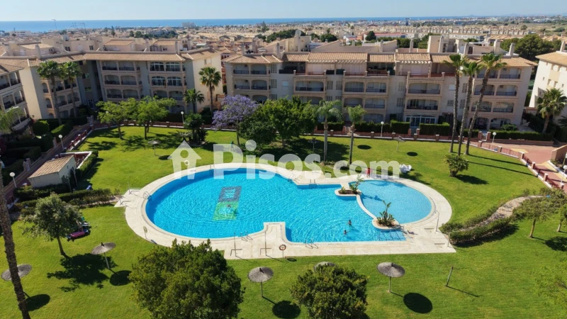 Pis – Orihuela, Urbanización Las Mimosas - La Chismosa, Urbanización la Florida